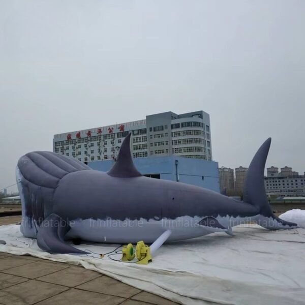 Giant Inflatable Shark - Image 3