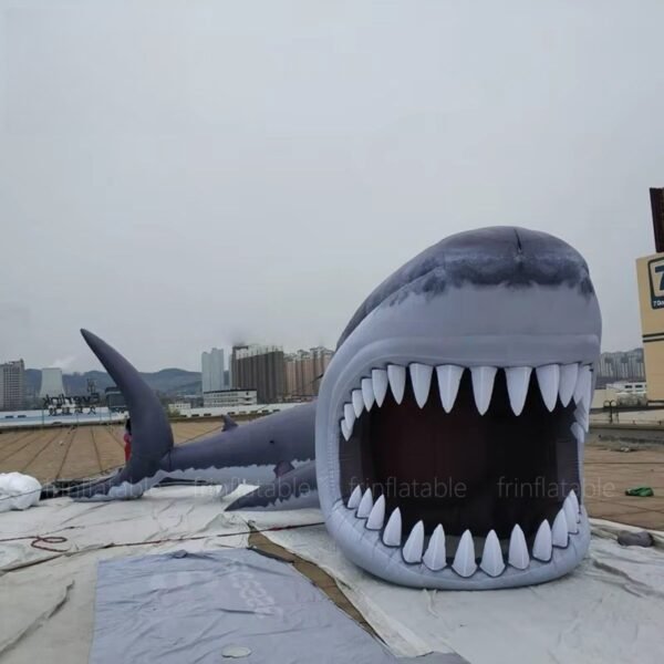 Giant Inflatable Shark